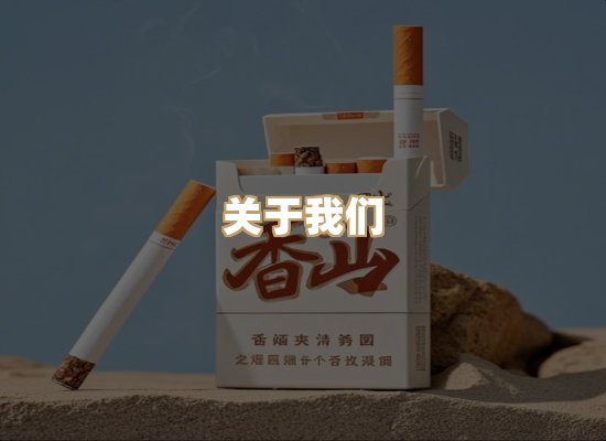 关于蓝帝网